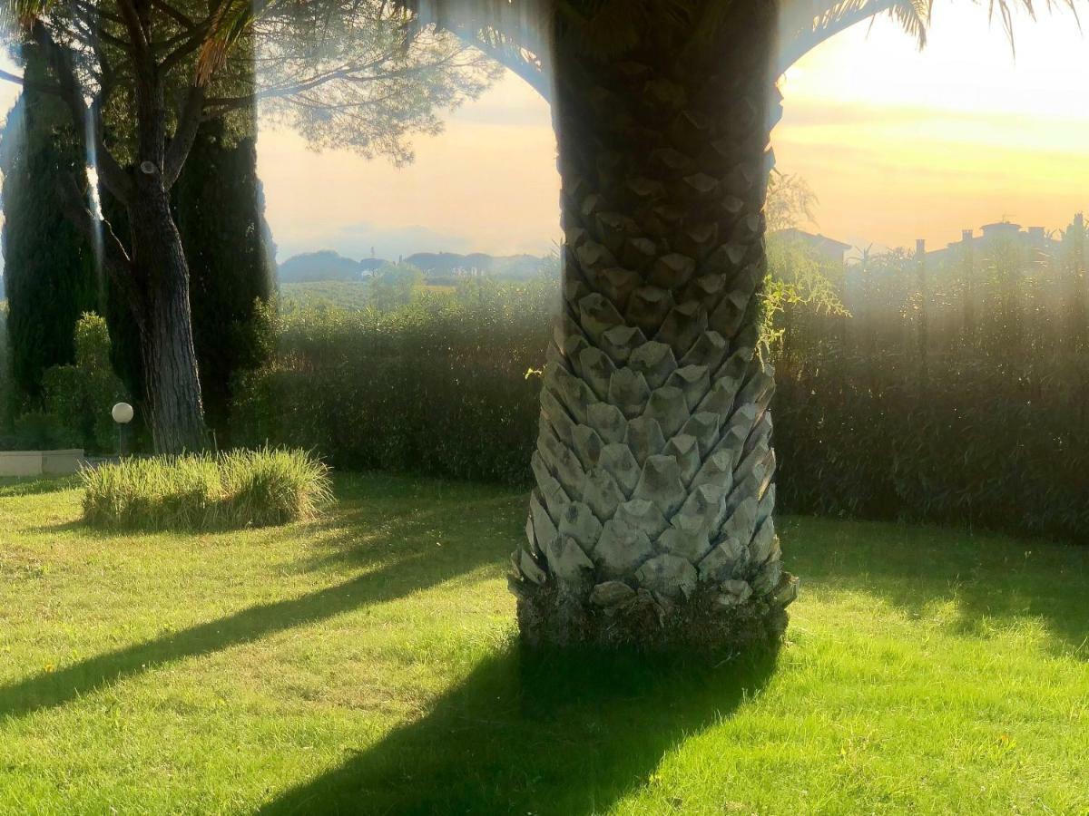 مونتيسكودايو Villa Lavinia B&B المظهر الخارجي الصورة