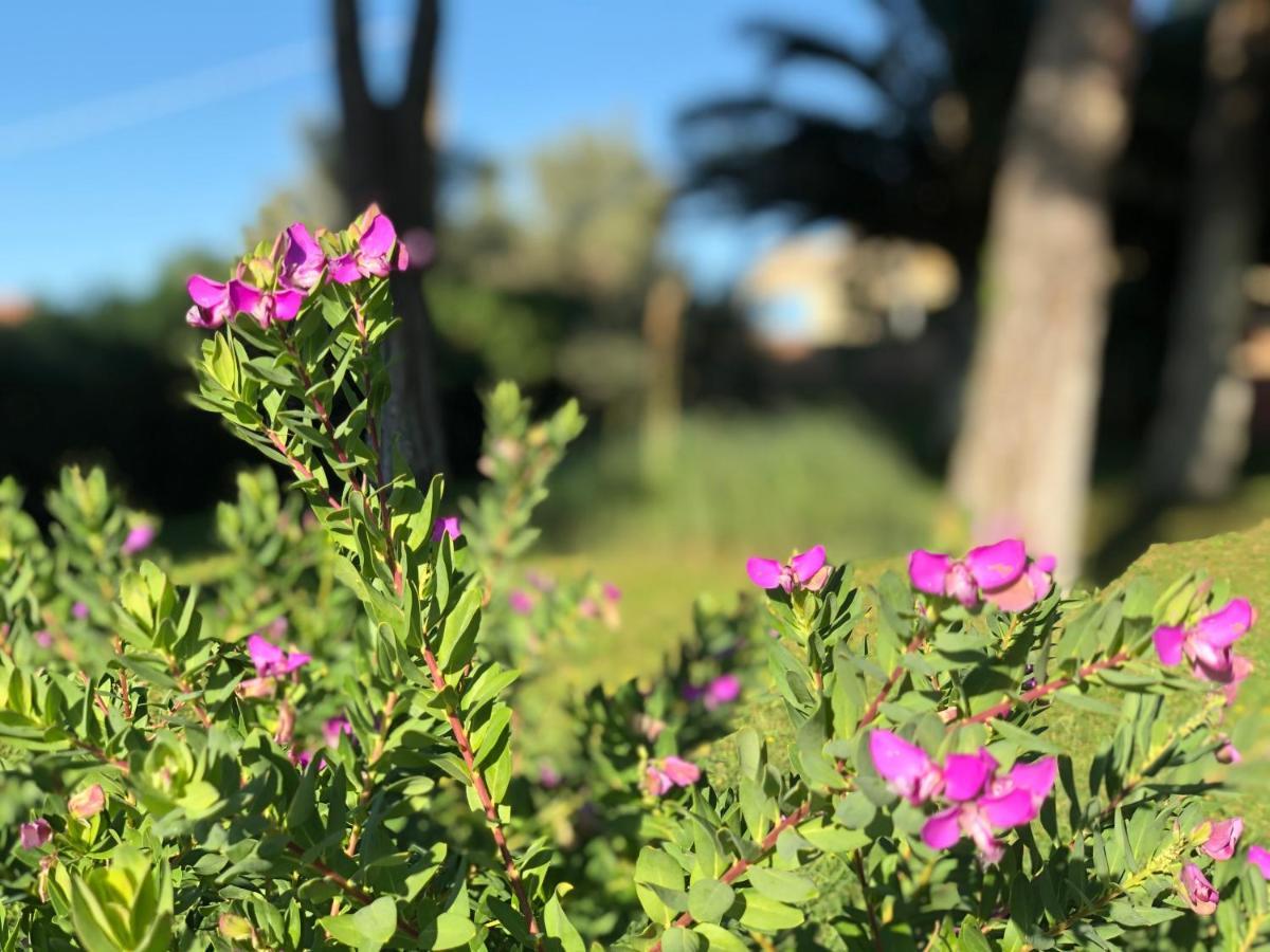 مونتيسكودايو Villa Lavinia B&B المظهر الخارجي الصورة